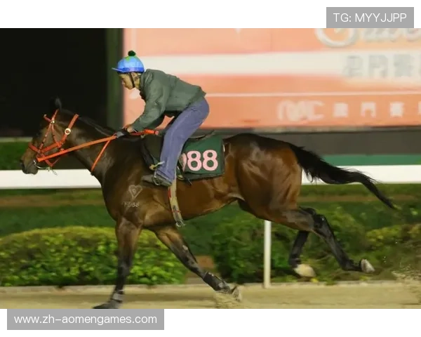 澳门赛马官网最新优惠活动，注册会员享受专属折扣与丰富礼遇